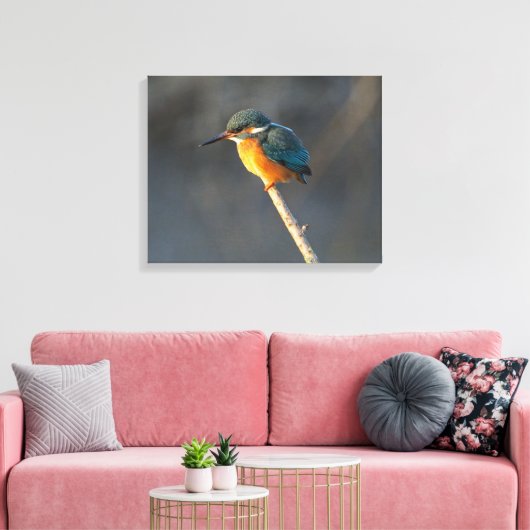 Kingfisher Leinwanddruck (Insitu (Wohnzimmer))