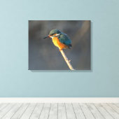 Kingfisher Leinwanddruck (Insitu (Holzboden))