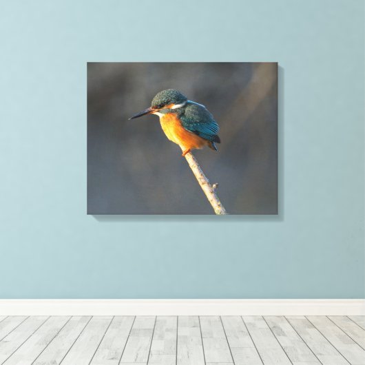 Kingfisher Leinwanddruck (Insitu (Holzboden))