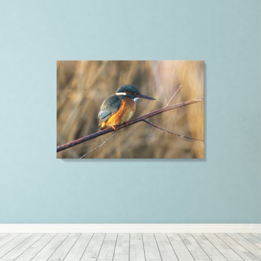 Kingfisher Leinwanddruck (Insitu (Holzboden))