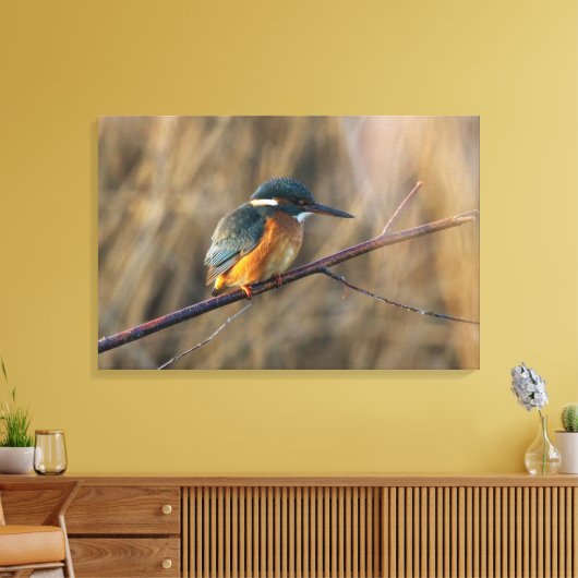 Kingfisher Leinwanddruck (Insitu (Wohnzimmer))