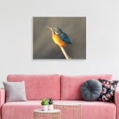 Kingfisher Leinwanddruck (Insitu (Wohnzimmer))