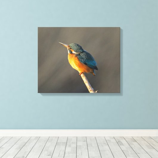 Kingfisher Leinwanddruck (Insitu (Holzboden))