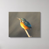 Kingfisher Leinwanddruck (Vorderseite)