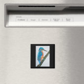 Kingfisher Magnet (In Situ (Geschirrspüler))