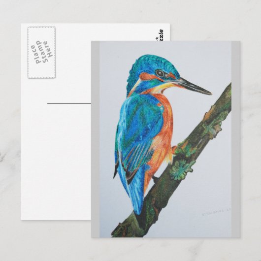 Kingfisher Merchandise Postkarte (Vorne/Hinten)