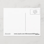 Kingfisher Merchandise Postkarte (Rückseite)