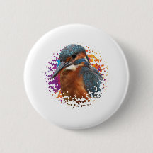 Kingfisher mit farbigem Hintergrund