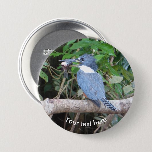 Kingfisher mit Fisch aus Costa Rica Button (Vorne & Hinten)