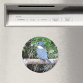 Kingfisher mit Fisch aus Costa Rica Magnet (In Situ (Geschirrspüler))