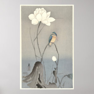 Kingfisher mit Lotus-Blume - Archival Print Poster