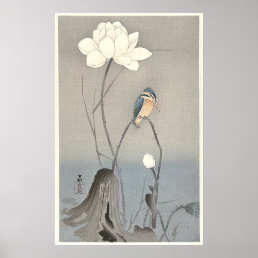 Kingfisher mit Lotus-Blume - Archival Print Poster (Vorne)