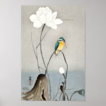 Kingfisher mit Lotus Blume - Ohara Koson - 12