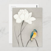 Kingfisher mit Lotus Blume Ohara Koson vergrößert Postkarte (Vorne/Hinten)