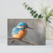 Kingfisher Nature Foto Card (Stehend Vorderseite)