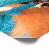 Kingfisher Nature Foto Poster (Ecke)