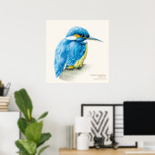 Kingfisher Ornithological Fine Art Poster (Heimbüro)
