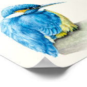 Kingfisher Ornithology Fine Art Square Print Poster (Ecke)