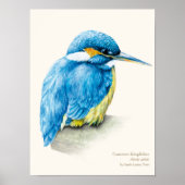 Kingfisher Ornithology Portrait Fine Art Print Poster (Vorne)