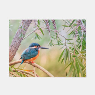 Kingfisher Perched auf Branch Fußmatte