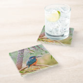 Kingfisher Perched auf Branch Glasuntersetzer (Schrägansicht)