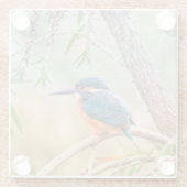 Kingfisher Perched auf Branch Glasuntersetzer (Rückseite)