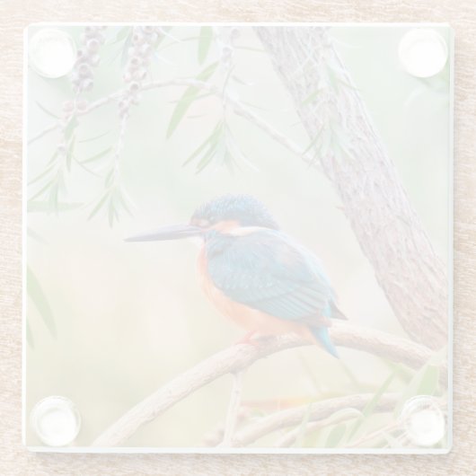 Kingfisher Perched auf Branch Glasuntersetzer (Rückseite)