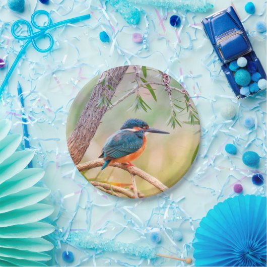 Kingfisher Perched auf Branch Pappteller (Party)