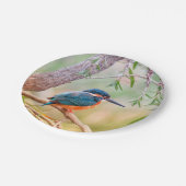 Kingfisher Perched auf Branch Pappteller (Schrägansicht)