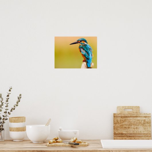 Kingfisher Poster (Küche)