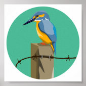 Kingfisher Poster (Vorne)