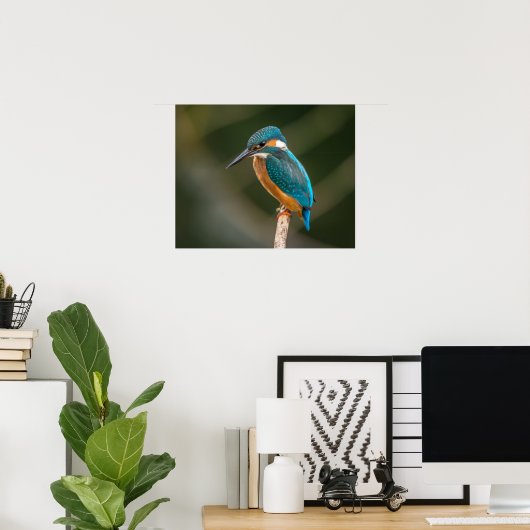 KIngfisher Poster (Heimbüro)