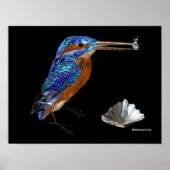 KINGFISHER POSTER (Vorne)