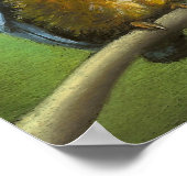 Kingfisher Poster (Ecke)