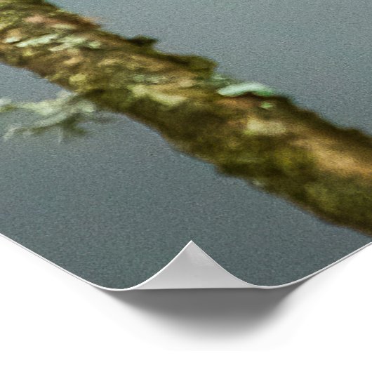 Kingfisher Poster/Print Poster (Ecke)