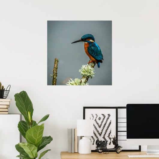 Kingfisher Poster/Print Poster (Heimbüro)