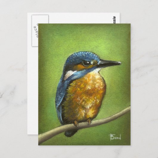 Kingfisher Postkarte (Vorne/Hinten)