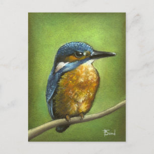 Kingfisher Postkarte
