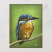 Kingfisher Postkarte (Vorderseite)