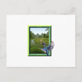 Kingfisher Postkarte (Vorderseite)