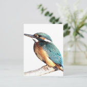 ‚Kingfisher‘ Postkarte (Stehend Vorderseite)