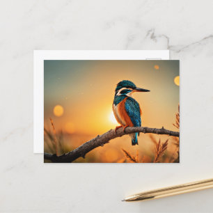 Kingfisher Postkarte