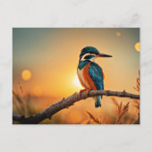 Kingfisher Postkarte (Vorderseite)