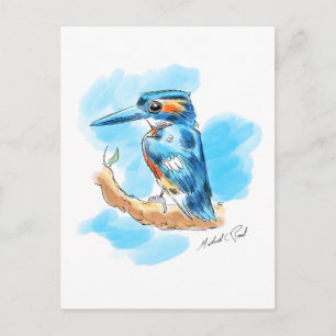 Kingfisher Postkarte