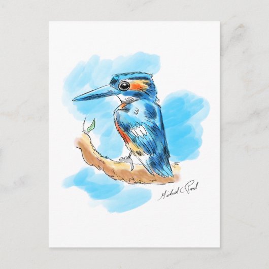 Kingfisher Postkarte (Vorderseite)