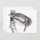 KINGFISHER POSTKARTE (Vorne/Hinten)