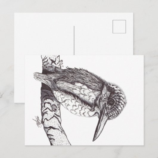 KINGFISHER POSTKARTE (Vorne/Hinten)