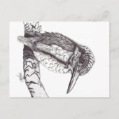 KINGFISHER POSTKARTE (Vorderseite)