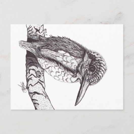 KINGFISHER POSTKARTE (Vorderseite)