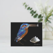 KINGFISHER POSTKARTE (Stehend Vorderseite)